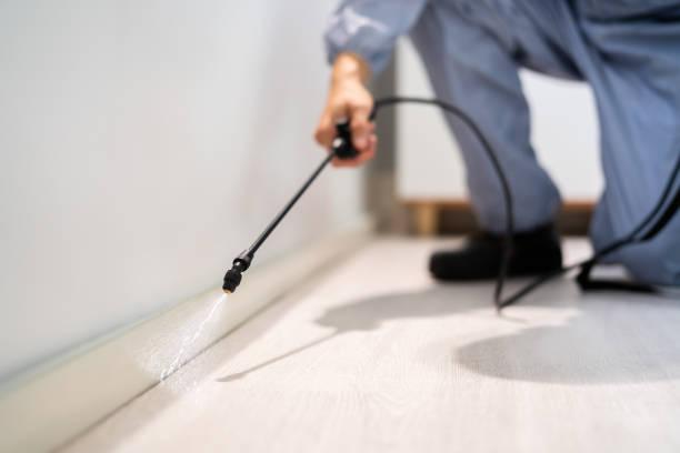 Licensed Exterminator service in New Boston, OH - Show Me Pest Control