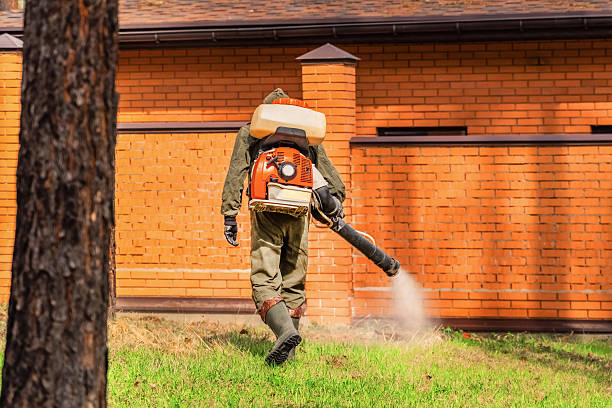 Top rated local Mosquito Control specialists in New Boston, OH